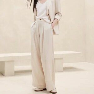 Banana Republic Factory Silky Pleated Wide-Leg Pant, 10P